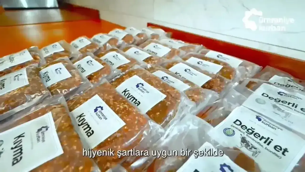 Ümraniye Büyükbaş Kurbanlık