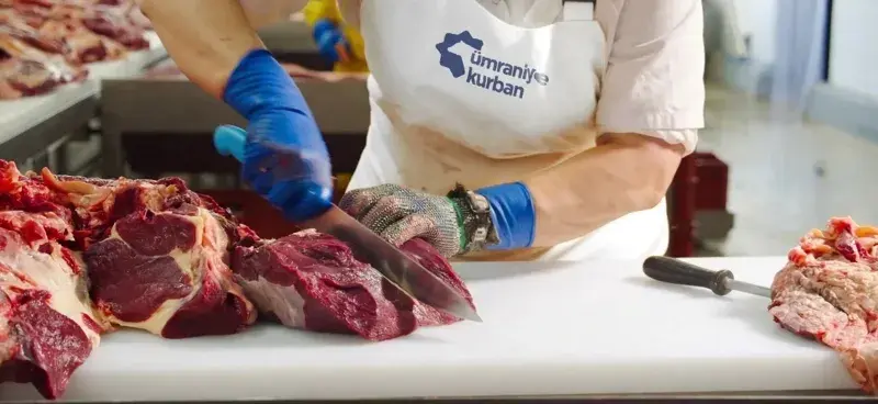 Ümraniye kurban kesim ve et işleme alanı — profesyonel kasaplık
